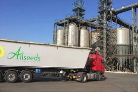 Атаки на порти: Allseeds зупинив роботу одного з найбільших заводів