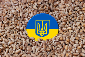Спасение рядового агрария: Украина просит у партнеров 220 млн евро