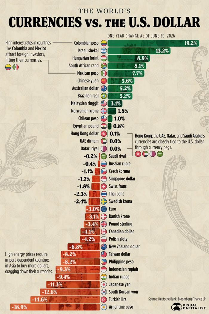 инфографика