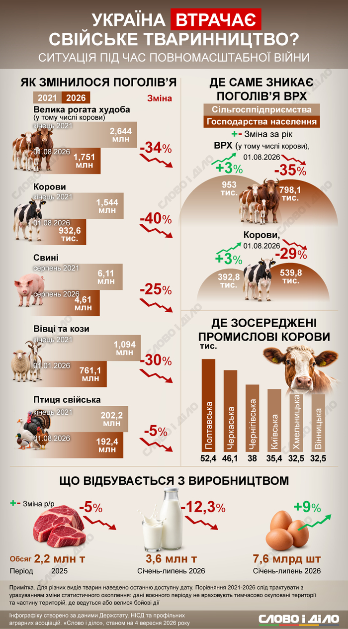 инфографика