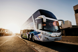 В Украине вырос автопарк автобусов: какие марки предпочитали украинцы