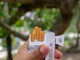 Табачный бизнес собрал миллиарды: названы компании с крупнейшей выручкой