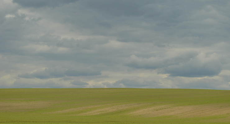 Dmytro Dovgan / unsplash.com