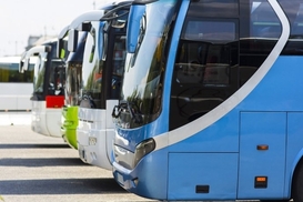 Украинцы массово регистрируют автобусы: кто лидирует и кто догоняет