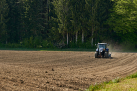80% of Planting in Ukraine Is Complete: Which Regions Are Leading the Way