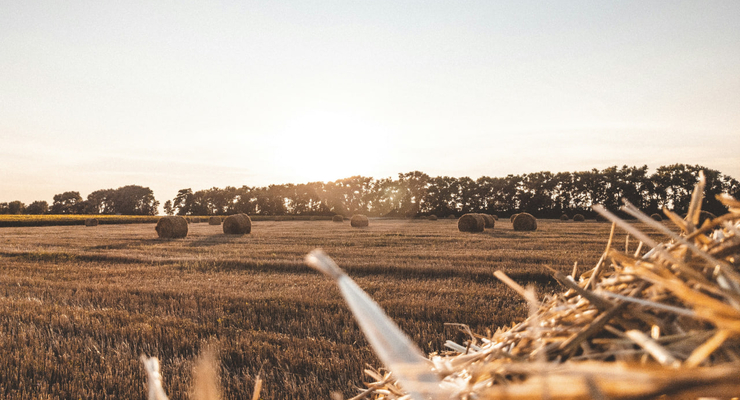stenedit / unsplash.com