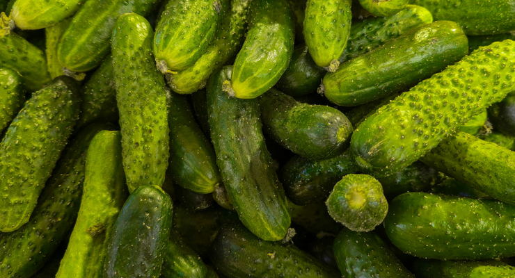 Zoshua Colah / unsplash.com